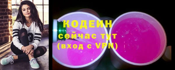 гидра Анжеро-Судженск
